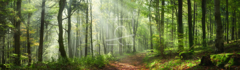 frei w&auml;hlbarer Bildausschnitt f&uuml;r Ihr Bild auf Glas-Schneidebrett