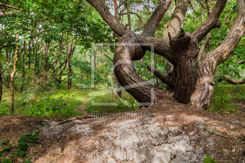 frei w&auml;hlbarer Bildausschnitt f&uuml;r Ihr Bild auf Glas-Schneidebrett