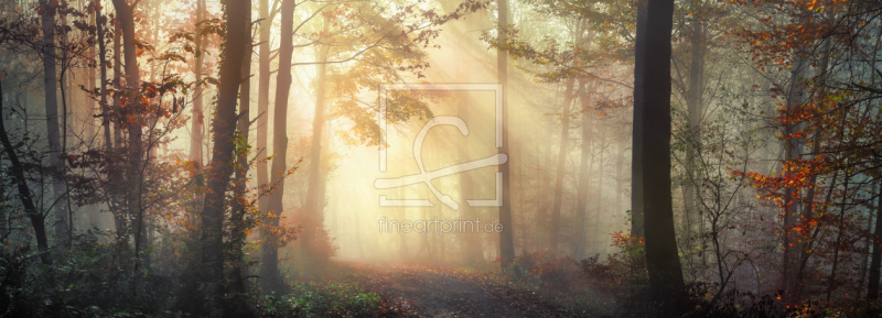 frei w&auml;hlbarer Bildausschnitt f&uuml;r Ihr Bild auf Glas-Schneidebrett