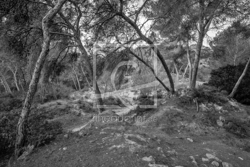 frei w&auml;hlbarer Bildausschnitt f&uuml;r Ihr Bild auf Glas-Schneidebrett