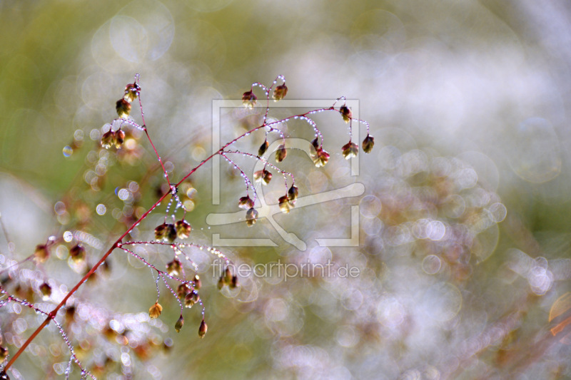 frei w&auml;hlbarer Bildausschnitt f&uuml;r Ihr Bild auf Glas-Schneidebrett