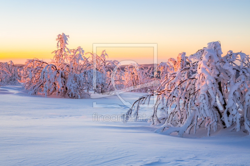 frei w&auml;hlbarer Bildausschnitt f&uuml;r Ihr Bild auf Glas-Schneidebrett
