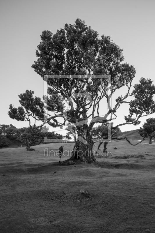 frei w&auml;hlbarer Bildausschnitt f&uuml;r Ihr Bild auf Glas-Schneidebrett