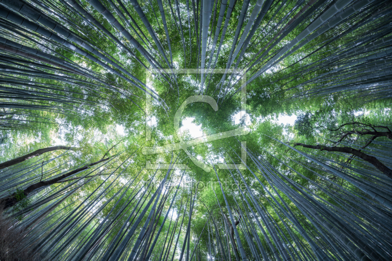 frei w&auml;hlbarer Bildausschnitt f&uuml;r Ihr Bild auf Glas-Schneidebrett