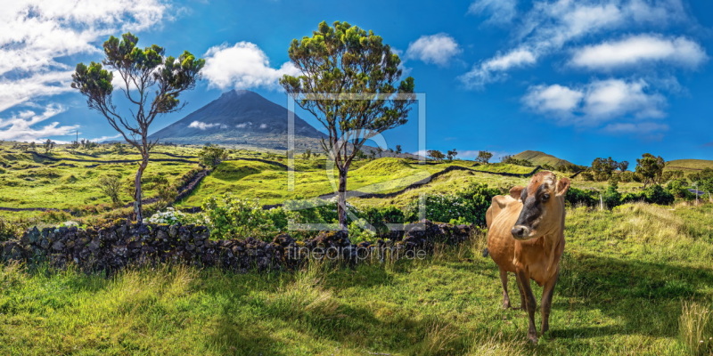 frei w&auml;hlbarer Bildausschnitt f&uuml;r Ihr Bild auf Glas-Schneidebrett