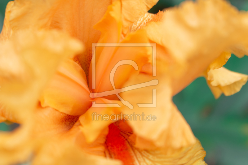 frei w&auml;hlbarer Bildausschnitt f&uuml;r Ihr Bild auf Glas-Schneidebrett