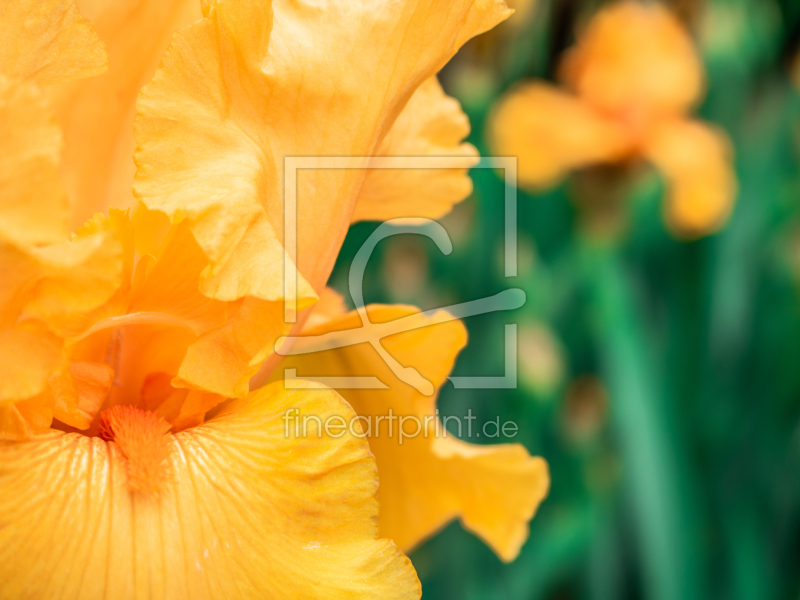 frei w&auml;hlbarer Bildausschnitt f&uuml;r Ihr Bild auf Glas-Schneidebrett