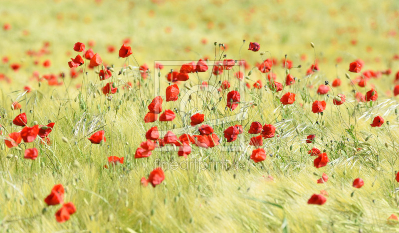frei w&auml;hlbarer Bildausschnitt f&uuml;r Ihr Bild auf Glas-Schneidebrett