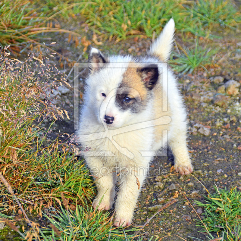 frei w&auml;hlbarer Bildausschnitt f&uuml;r Ihr Bild auf Glas-Schneidebrett