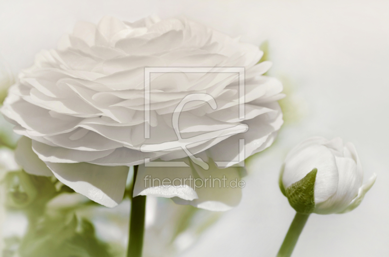 frei w&auml;hlbarer Bildausschnitt f&uuml;r Ihr Bild auf Glas-Schneidebrett