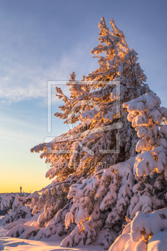 frei w&auml;hlbarer Bildausschnitt f&uuml;r Ihr Bild auf Glas-Schneidebrett