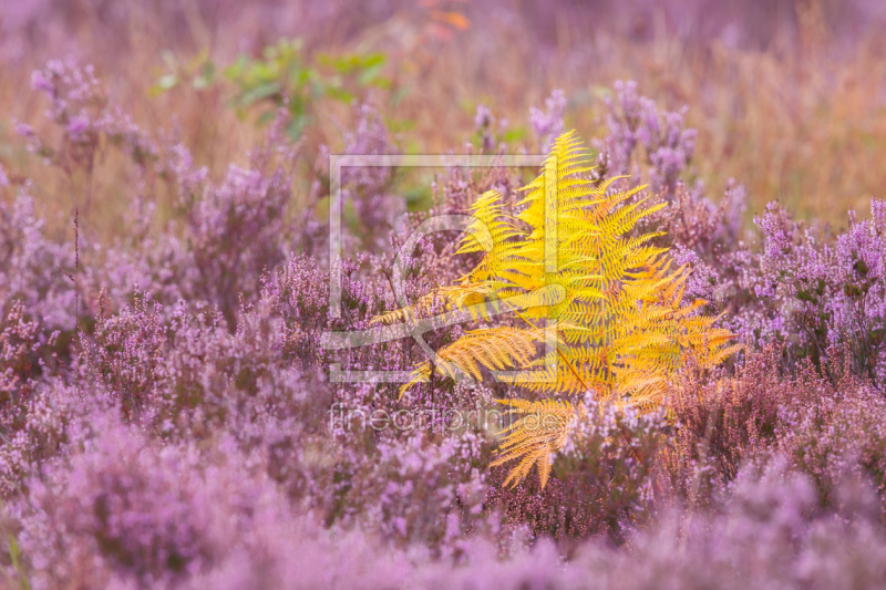 frei w&auml;hlbarer Bildausschnitt f&uuml;r Ihr Bild auf Glas-Schneidebrett
