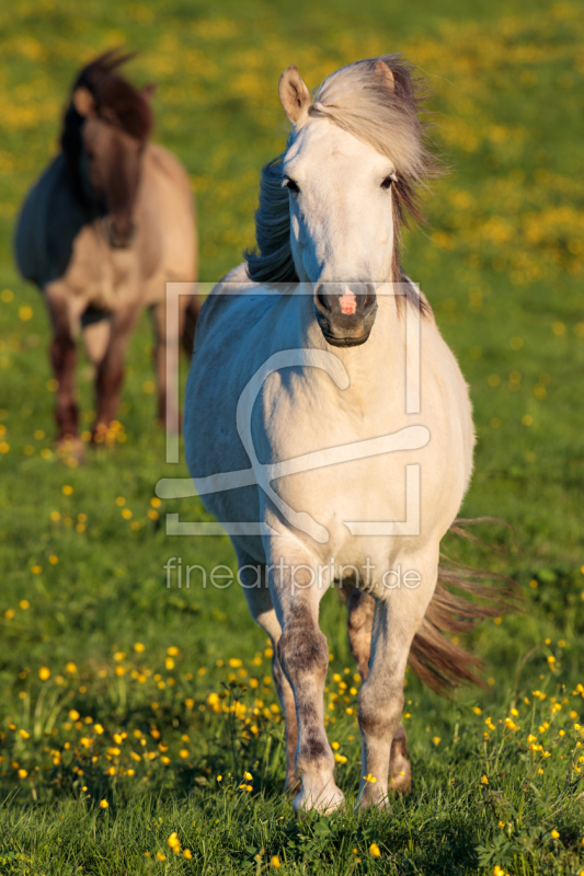 frei w&auml;hlbarer Bildausschnitt f&uuml;r Ihr Bild auf Glas-Schneidebrett