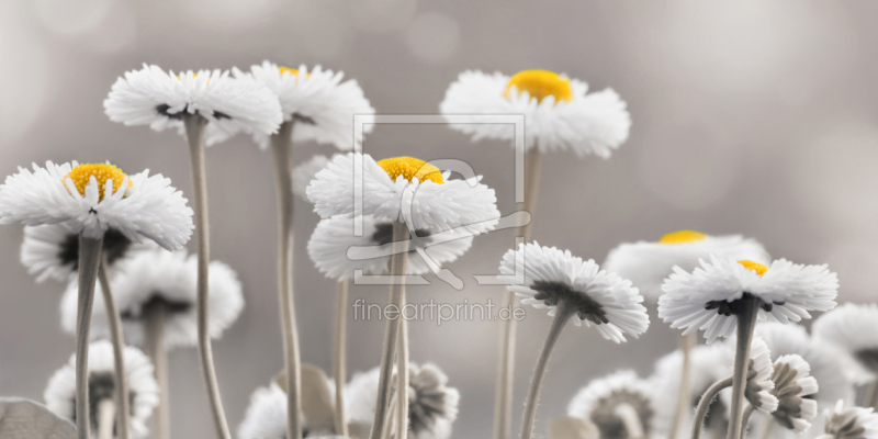 frei w&auml;hlbarer Bildausschnitt f&uuml;r Ihr Bild auf Glas-Schneidebrett