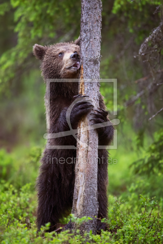 frei w&auml;hlbarer Bildausschnitt f&uuml;r Ihr Bild auf Glas-Schneidebrett