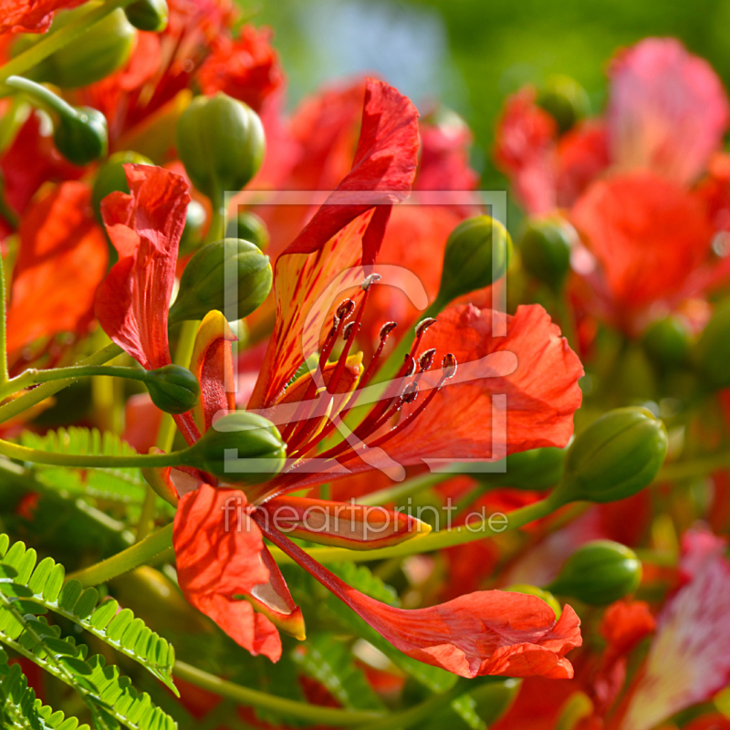 frei w&auml;hlbarer Bildausschnitt f&uuml;r Ihr Bild auf Glas-Schneidebrett