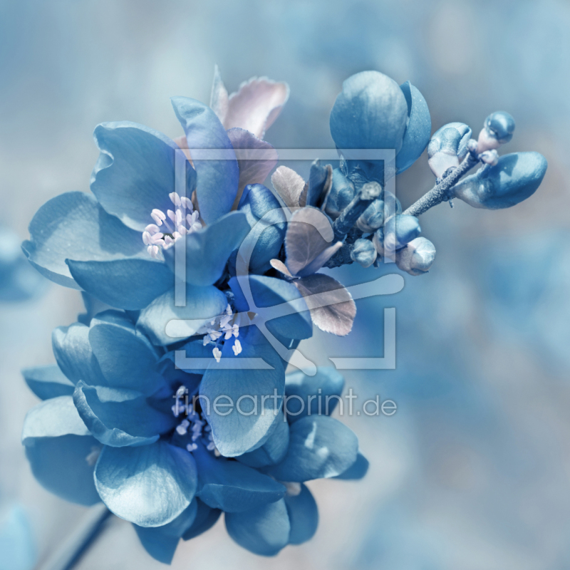 frei wählbarer Bildausschnitt für Ihr Bild auf Glas-Schneidebrett