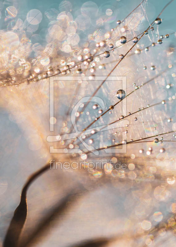 frei w&auml;hlbarer Bildausschnitt f&uuml;r Ihr Bild auf Glas-Schneidebrett