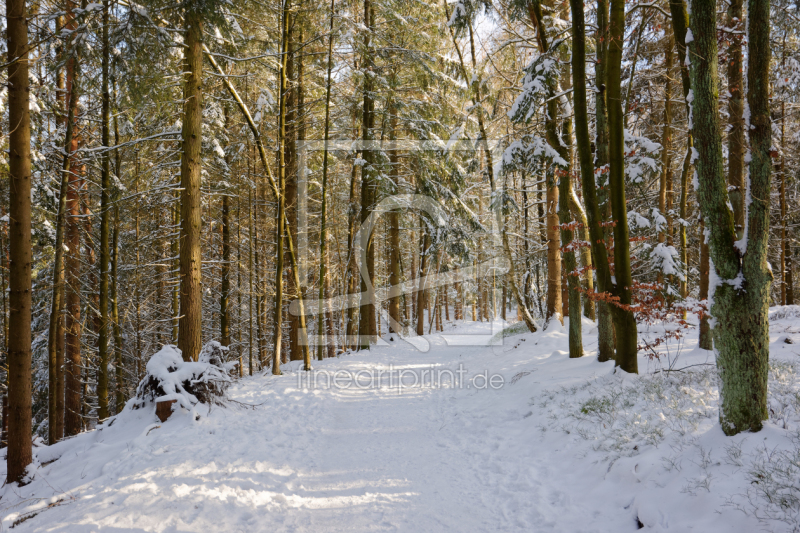 frei w&auml;hlbarer Bildausschnitt f&uuml;r Ihr Bild auf Glas-Schneidebrett