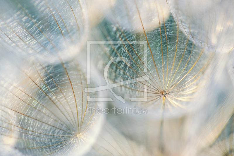 frei w&auml;hlbarer Bildausschnitt f&uuml;r Ihr Bild auf Glas-Schneidebrett