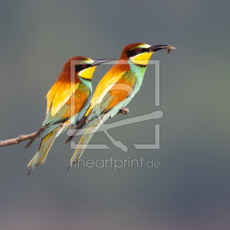 frei w&auml;hlbarer Bildausschnitt f&uuml;r Ihr Bild auf Glas-Schneidebrett