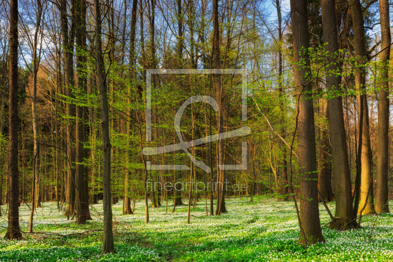 frei w&auml;hlbarer Bildausschnitt f&uuml;r Ihr Bild auf Glas-Schneidebrett