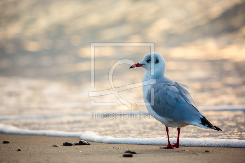 frei w&auml;hlbarer Bildausschnitt f&uuml;r Ihr Bild auf Glas-Schneidebrett