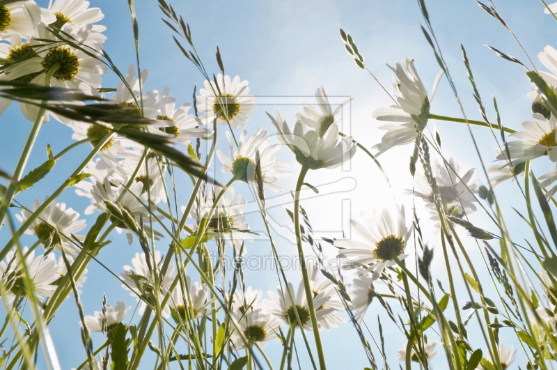 frei w&auml;hlbarer Bildausschnitt f&uuml;r Ihr Bild auf Glas-Schneidebrett