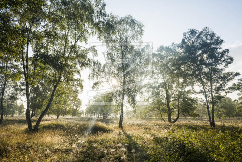 frei w&auml;hlbarer Bildausschnitt f&uuml;r Ihr Bild auf Glas-Schneidebrett