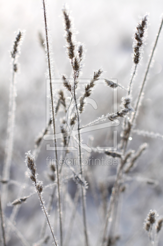 frei w&auml;hlbarer Bildausschnitt f&uuml;r Ihr Bild auf Glas-Schneidebrett
