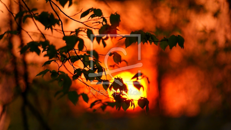frei w&auml;hlbarer Bildausschnitt f&uuml;r Ihr Bild auf Glas-Schneidebrett