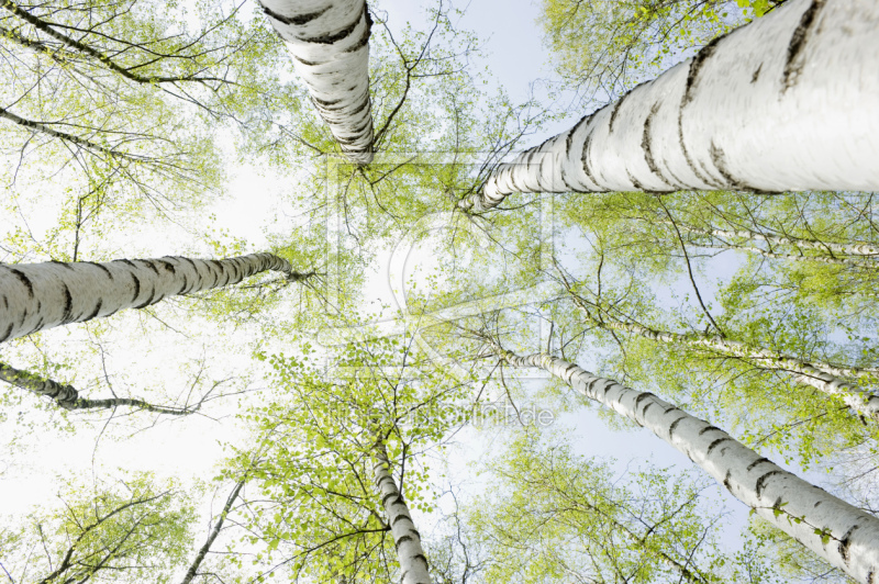 frei w&auml;hlbarer Bildausschnitt f&uuml;r Ihr Bild auf Glas-Schneidebrett