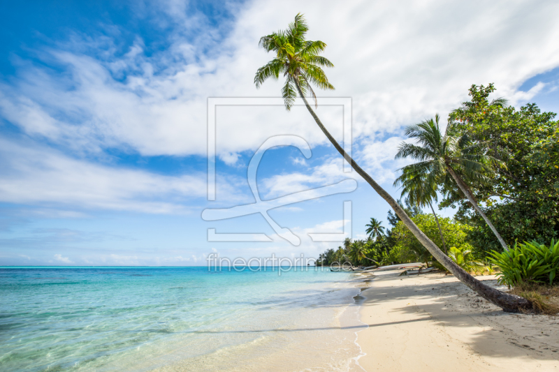 freely selectable image excerpt for your image on Greeting Card