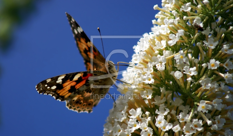 frei wählbarer Bildausschnitt für Ihr Bild auf Grußkarte