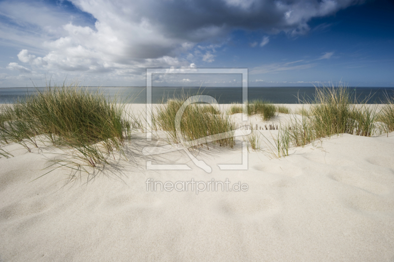 frei wählbarer Bildausschnitt für Ihr Bild auf Grußkarte