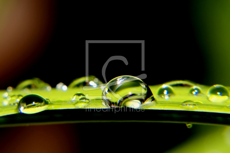 frei wählbarer Bildausschnitt für Ihr Bild auf Grußkarte