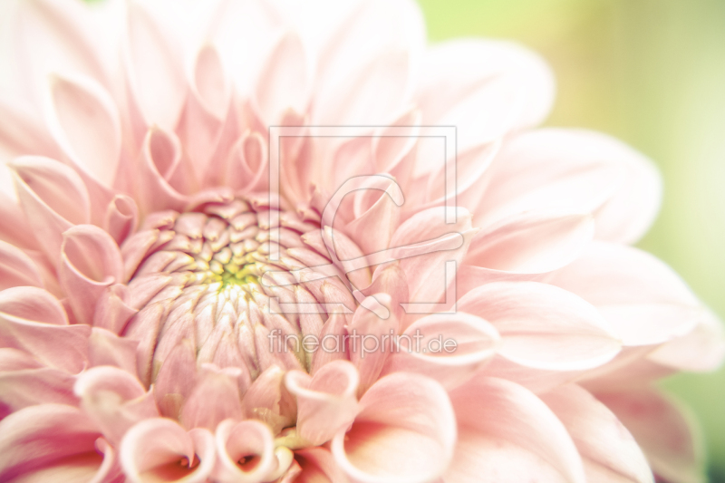 frei wählbarer Bildausschnitt für Ihr Bild auf Grußkarte