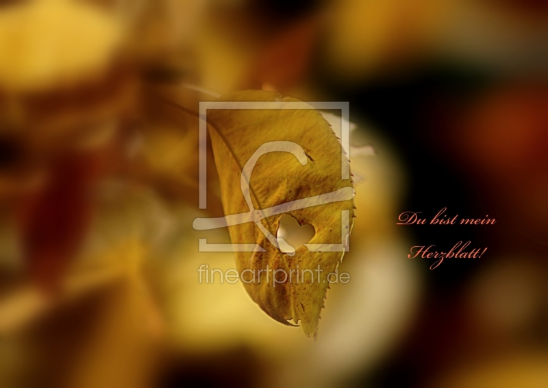 frei wählbarer Bildausschnitt für Ihr Bild auf Grußkarte