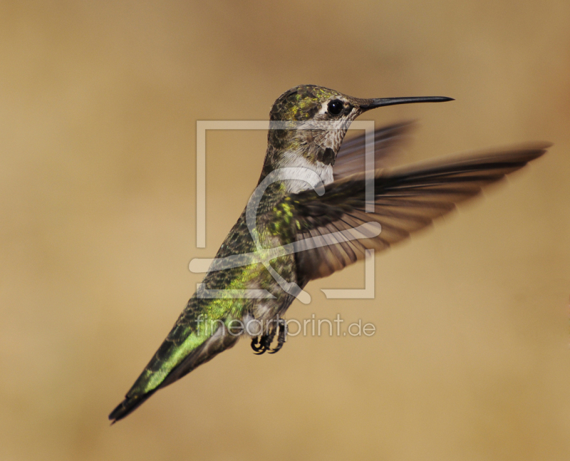 frei wählbarer Bildausschnitt für Ihr Bild auf Grußkarte