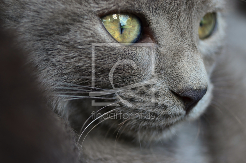 frei wählbarer Bildausschnitt für Ihr Bild auf Grußkarte