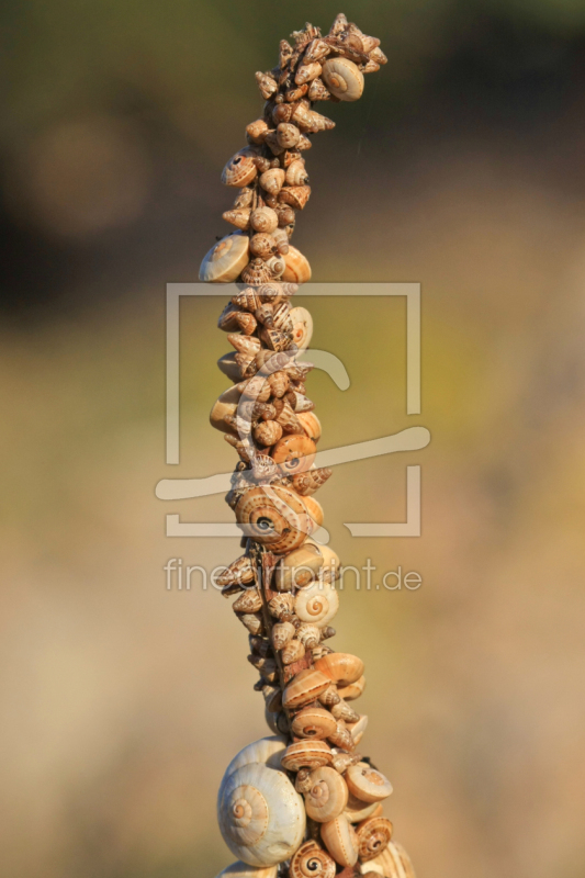 frei wählbarer Bildausschnitt für Ihr Bild auf Grußkarte