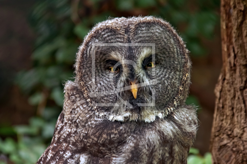 frei wählbarer Bildausschnitt für Ihr Bild auf Grußkarte