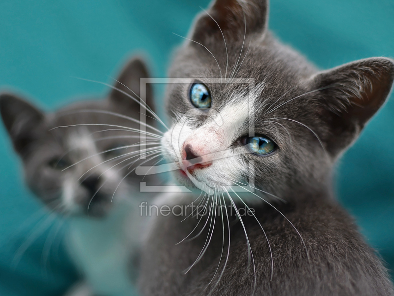 frei wählbarer Bildausschnitt für Ihr Bild auf Grußkarte