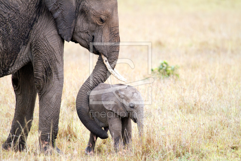 frei wählbarer Bildausschnitt für Ihr Bild auf Grußkarte
