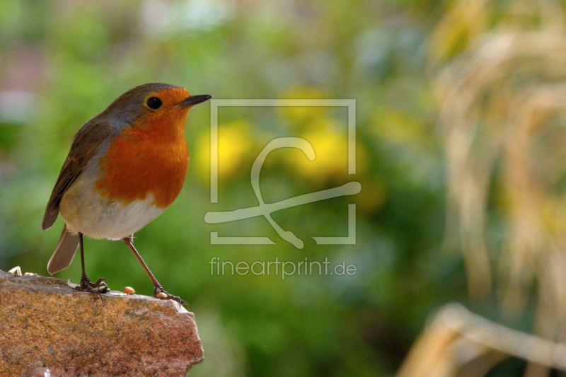 frei wählbarer Bildausschnitt für Ihr Bild auf Grußkarte