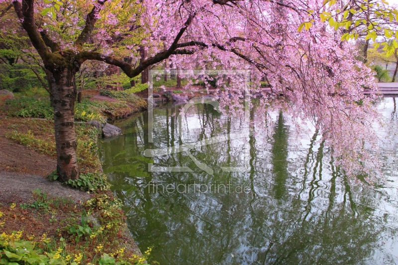 frei wählbarer Bildausschnitt für Ihr Bild auf Grußkarte