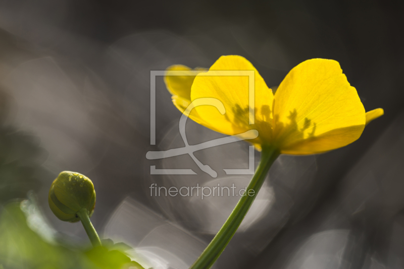 frei wählbarer Bildausschnitt für Ihr Bild auf Grußkarte