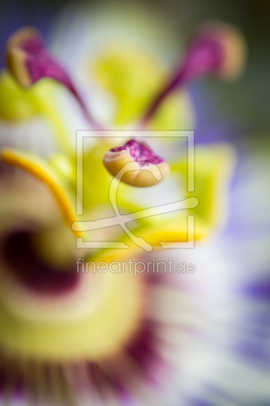 frei wählbarer Bildausschnitt für Ihr Bild auf Grußkarte