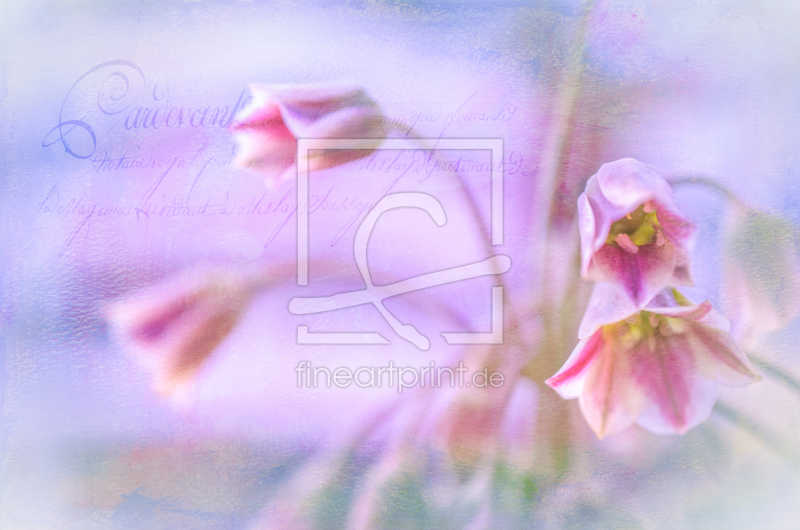 frei wählbarer Bildausschnitt für Ihr Bild auf Grußkarte