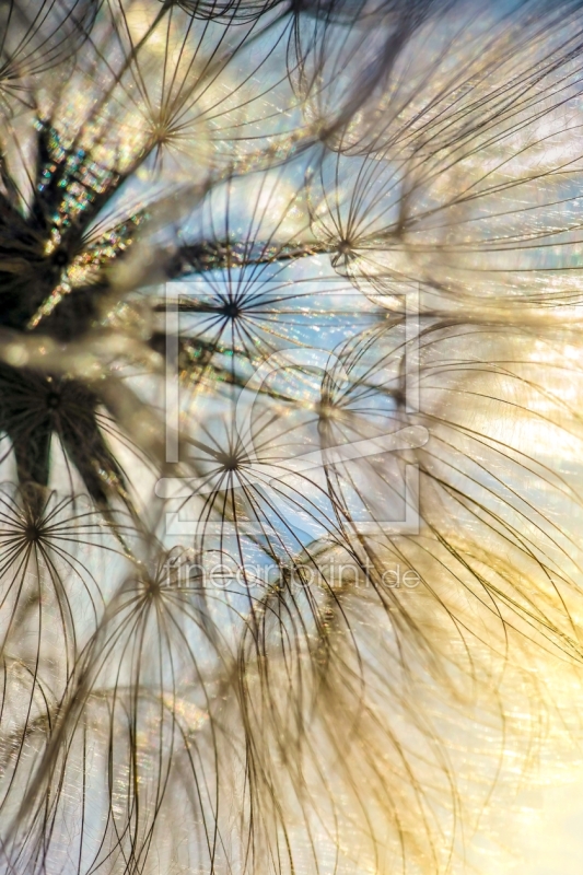 frei wählbarer Bildausschnitt für Ihr Bild auf Grußkarte